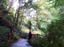 Shanklin Chine 1 * 2032 x 1524 * (1.43MB)
